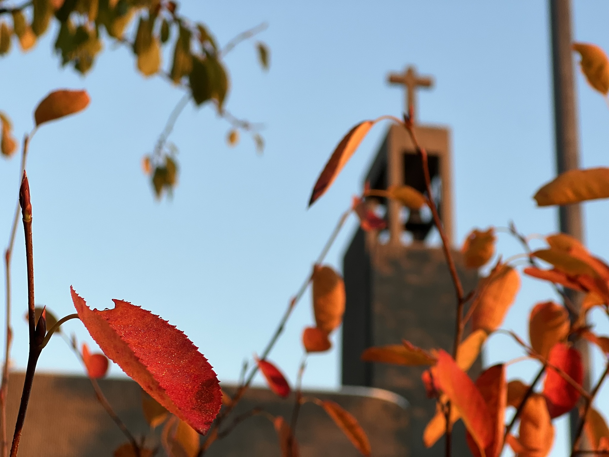 Foto av høstblader foran Grim kirke. 